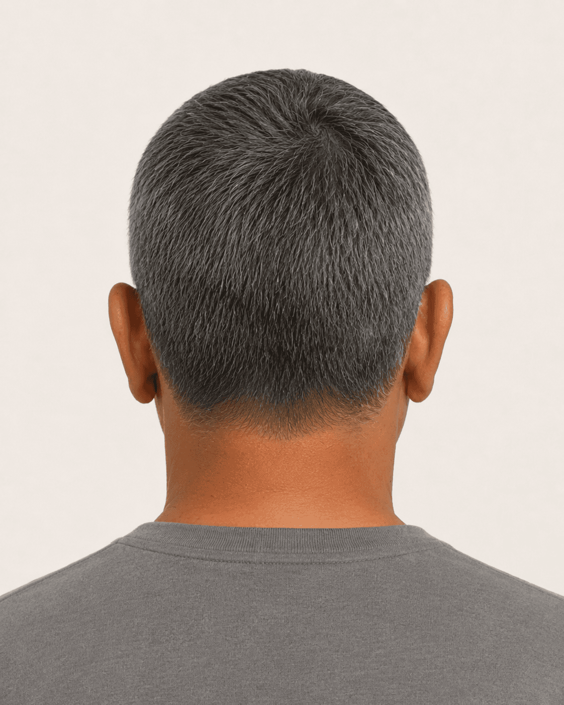 Rear view of a short natural crop showing the neatly trimmed nape