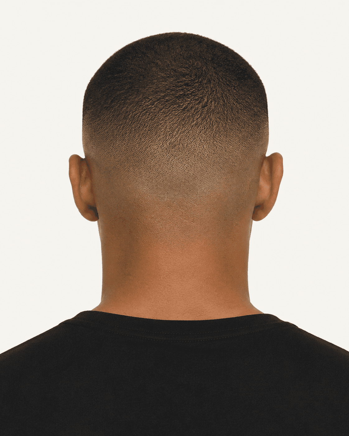 Annotated rear construction map for Buzz Cut Fade. Rear view of a short buzz cut showing a crown whorl and broad nape gradient