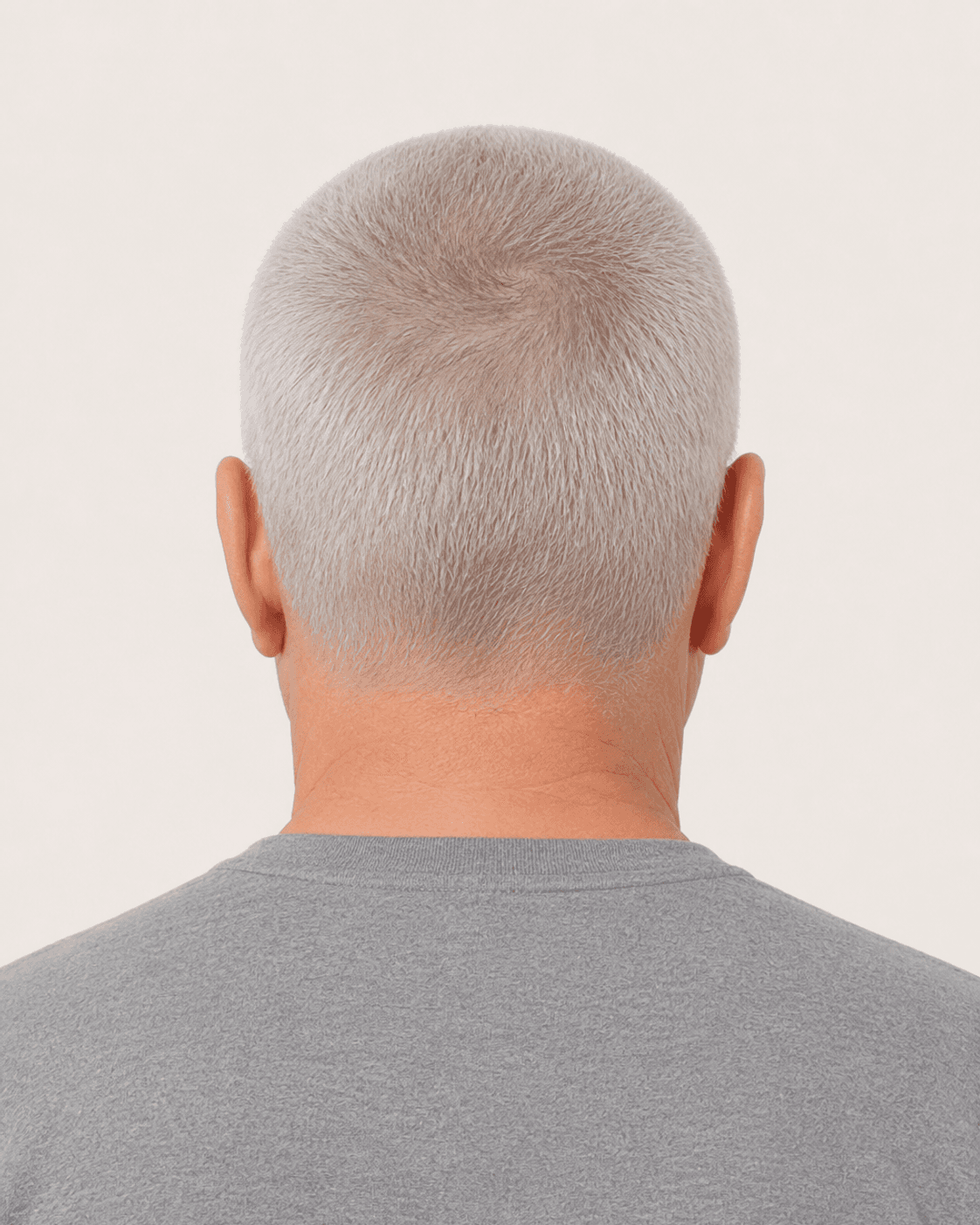 Rear view of a uniform grey buzz cut showing the crown and neckline