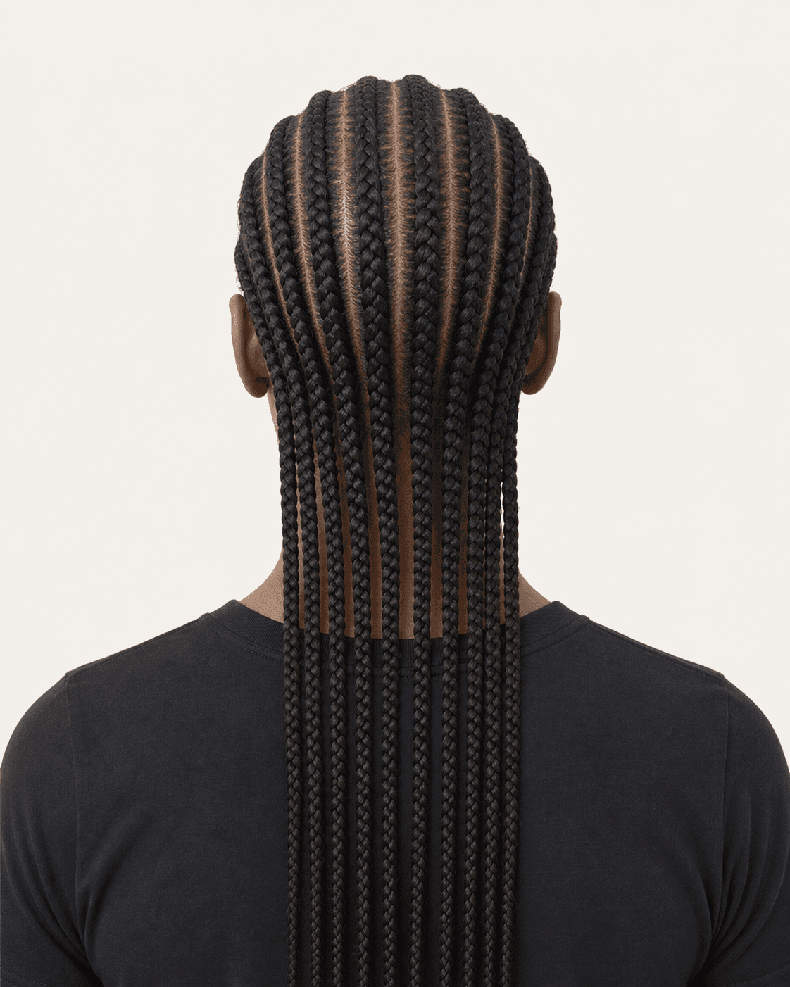 Annotated rear construction map for Feed-In Straight Backs. Rear view of straight-back feed-in cornrows continuing into long braid tails